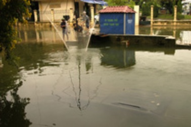 Nước rút, một xe Ford “trồi” nóc khỏi mương