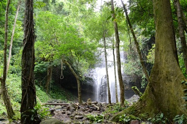 Đến Đắk Nông nghe tiếng thác đổ