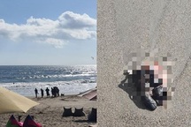 Hoảng hồn phát hiện... bàn chân người trôi dạt bờ biển