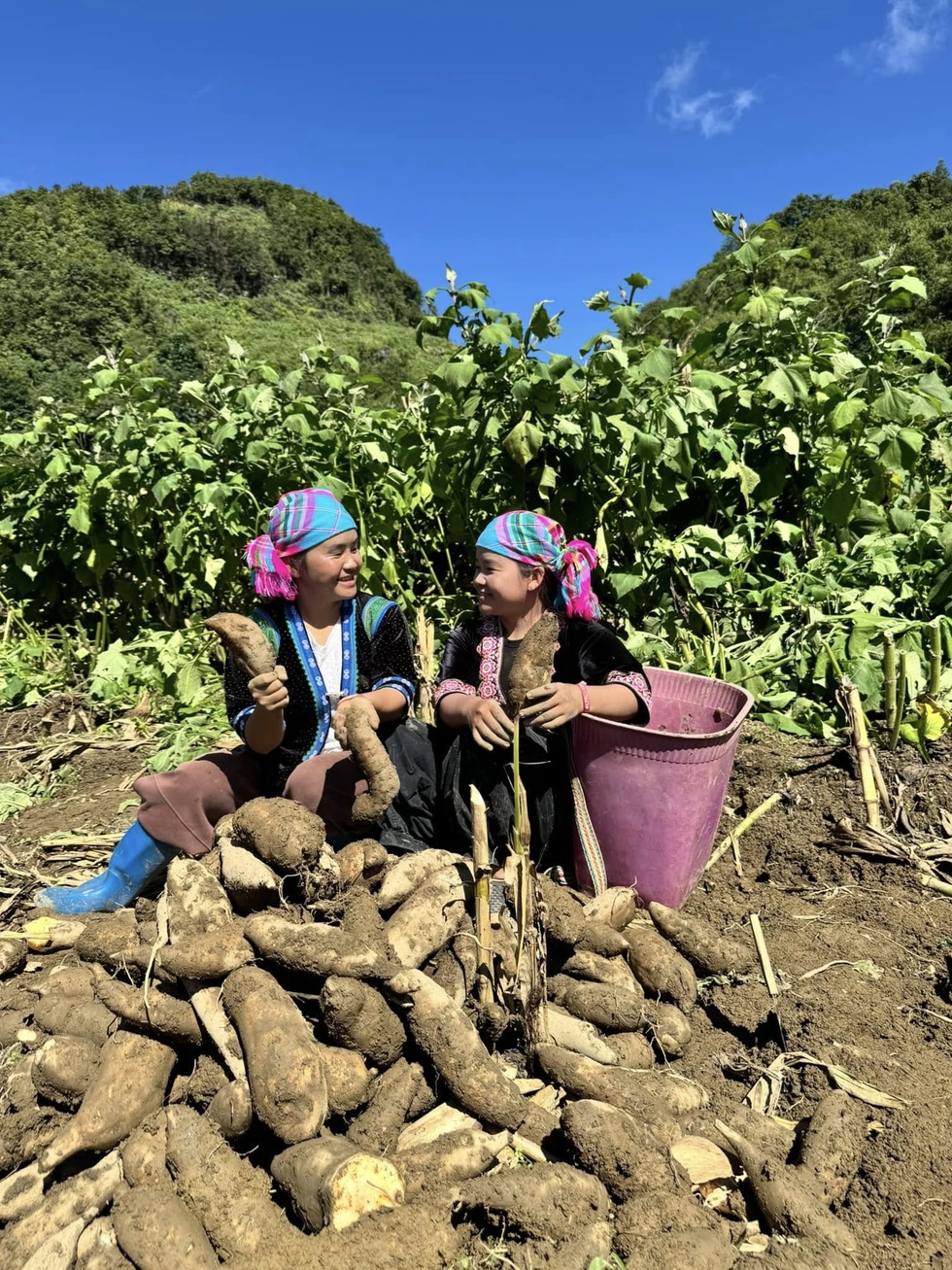 Bài toán “nút thắt cổ chai” khi nông dân chuyển đổi số - 8 Bài toán “nút thắt cổ chai” khi nông dân chuyển đổi số - 8