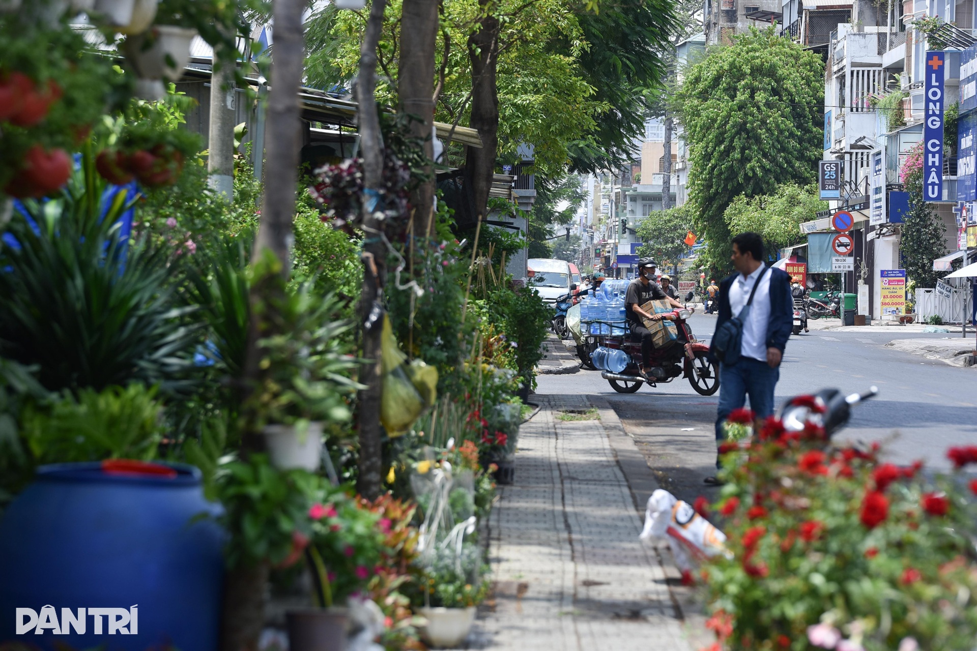 Khu đất vàng hơn 10.000m2 ở TPHCM sắp bị cưỡng chế - 8 Khu đất vàng hơn 10.000m2 ở TPHCM sắp bị cưỡng chế - 8
