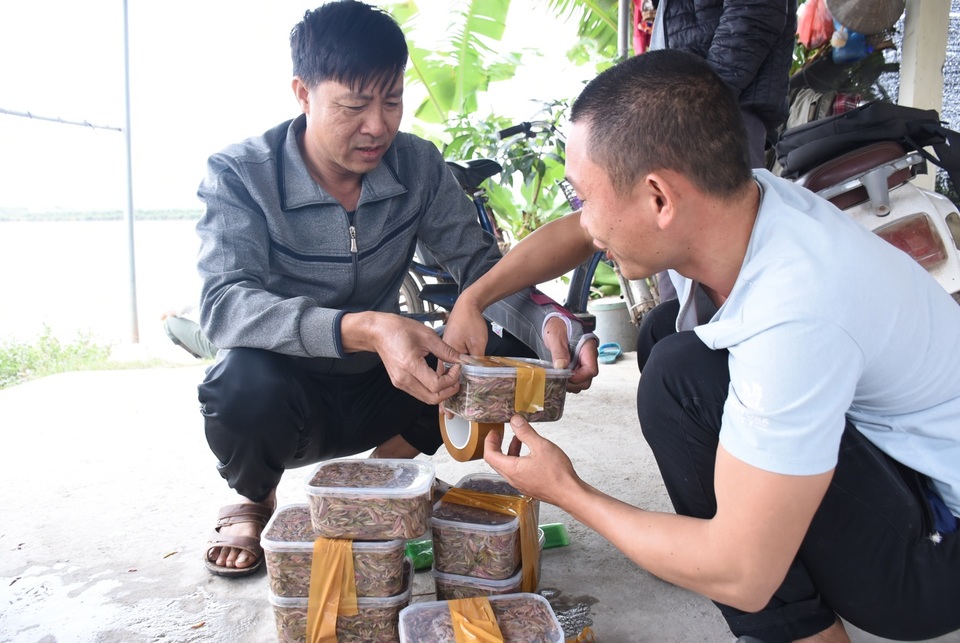 Về thủ phủ nuôi đặc sản con nhung nhúc, béo tròn, muốn ăn đến mùa mới có - 5