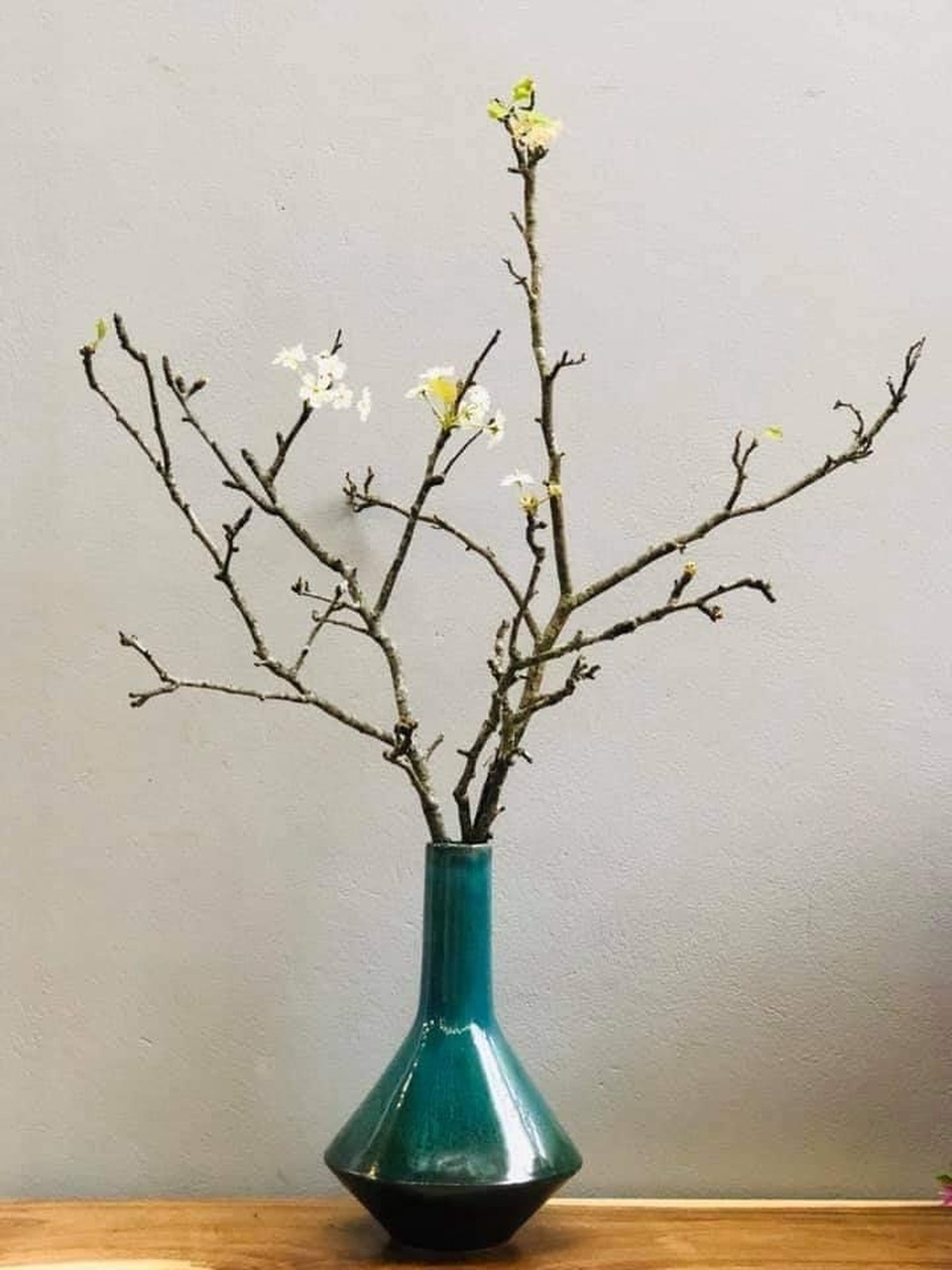 Dân Hà thành đua nhau săn hoa lê rừng, giá tiền triệu mỗi cành - 3 Dân Hà thành đua nhau săn hoa lê rừng, giá tiền triệu mỗi cành - 3