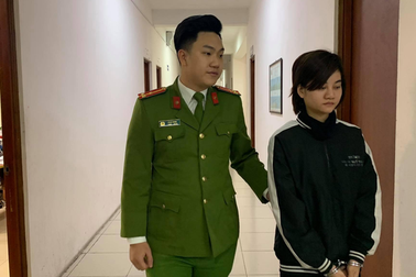 Hà Nội: Vết trượt của người phụ nữ cầm đầu đường dây lừa "đẻ thuê"