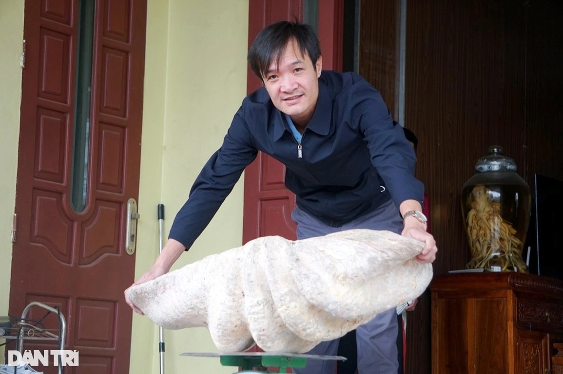Thầy giáo sở hữu vỏ sò hóa thạch nặng gần 1 tạ, khách đổi ô tô vẫn lắc đầu - 1 Thầy giáo sở hữu vỏ sò hóa thạch nặng gần 1 tạ, khách đổi ô tô vẫn lắc đầu - 1