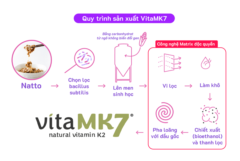 Hành trình tạo nên Vitamin K2 chất lượng cao từ Gnosis by Lesaffre - 2 Hành trình tạo nên Vitamin K2 chất lượng cao từ Gnosis by Lesaffre - 2