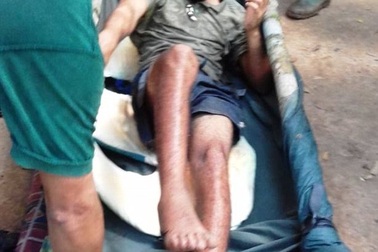 Đàn khỉ cứu sống du khách bị lạc trong rừng rậm suốt 9 ngày