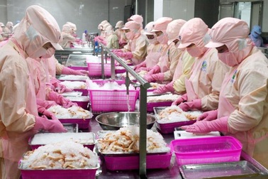 Giao thương với Trung Quốc: Nhiều rủi ro trong thanh toán