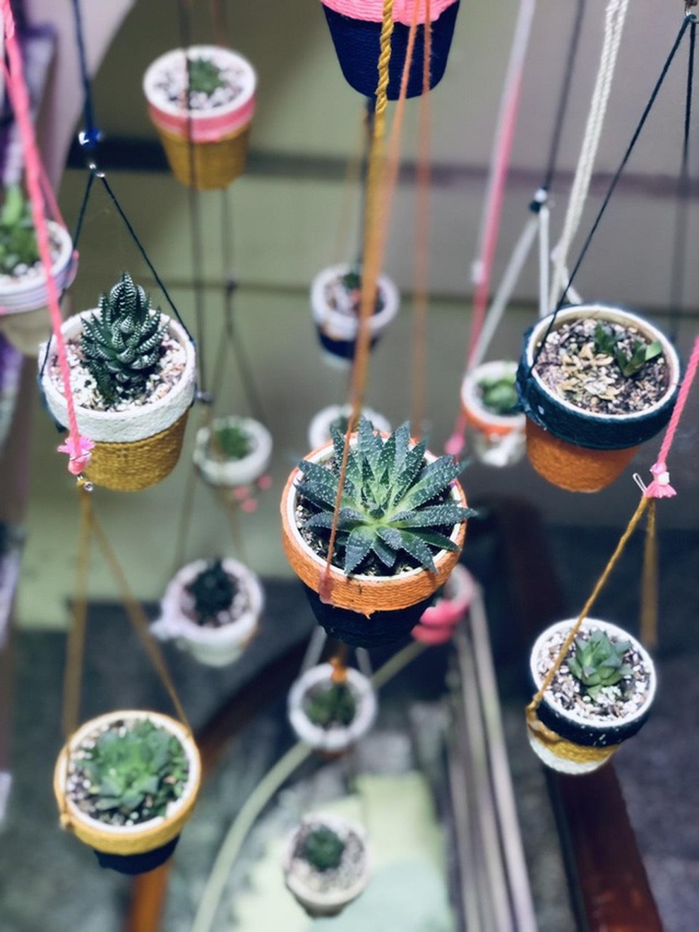 Những khu vườn 3m2 nhỏ nhưng có võ ở Việt Nam, ai nhìn cũng mê - 11 Những khu vườn 3m2 nhỏ nhưng có võ ở Việt Nam, ai nhìn cũng mê - 11