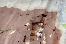 Di dời trụ điện, phát hiện kho đạn cối dưới lòng đất