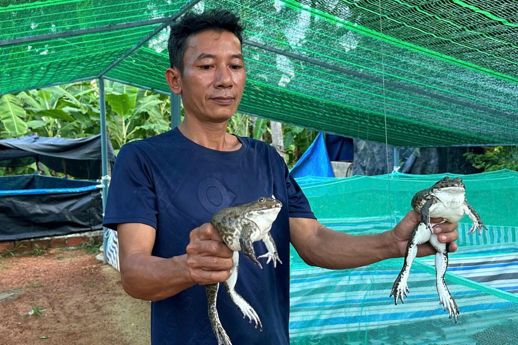 Ngư dân quyết định bỏ biển về bờ, thu nhập hàng trăm triệu đồng từ nghề mới - 2