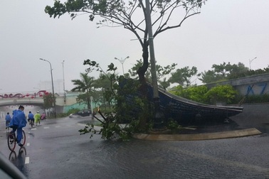 Hình ảnh Đà Nẵng "liêu xiêu" trước cơn bão số 3