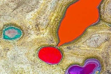 Ngây ngất với những trái tim lãng mạn giữa thiên nhiên 