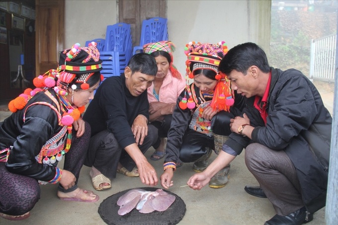 Người Hà Nhì bói gan lợn trong ngày tết.