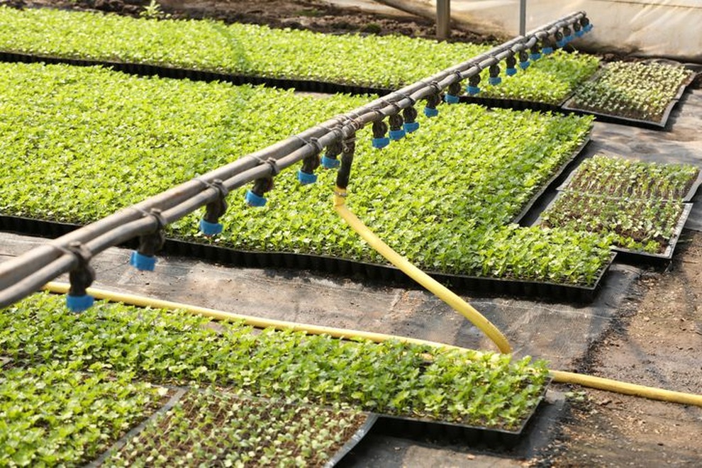 Những ý tưởng thiết kế sân vườn cho ngôi nhà ở ngoại ô khiến ai cũng mơ ước - 6