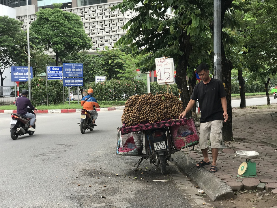 Dịch Covid-19: Giá nhãn giảm sâu, tiểu thương lao đao vì tiêu thụ chậm - 1 Dịch Covid-19: Giá nhãn giảm sâu, tiểu thương lao đao vì tiêu thụ chậm - 1