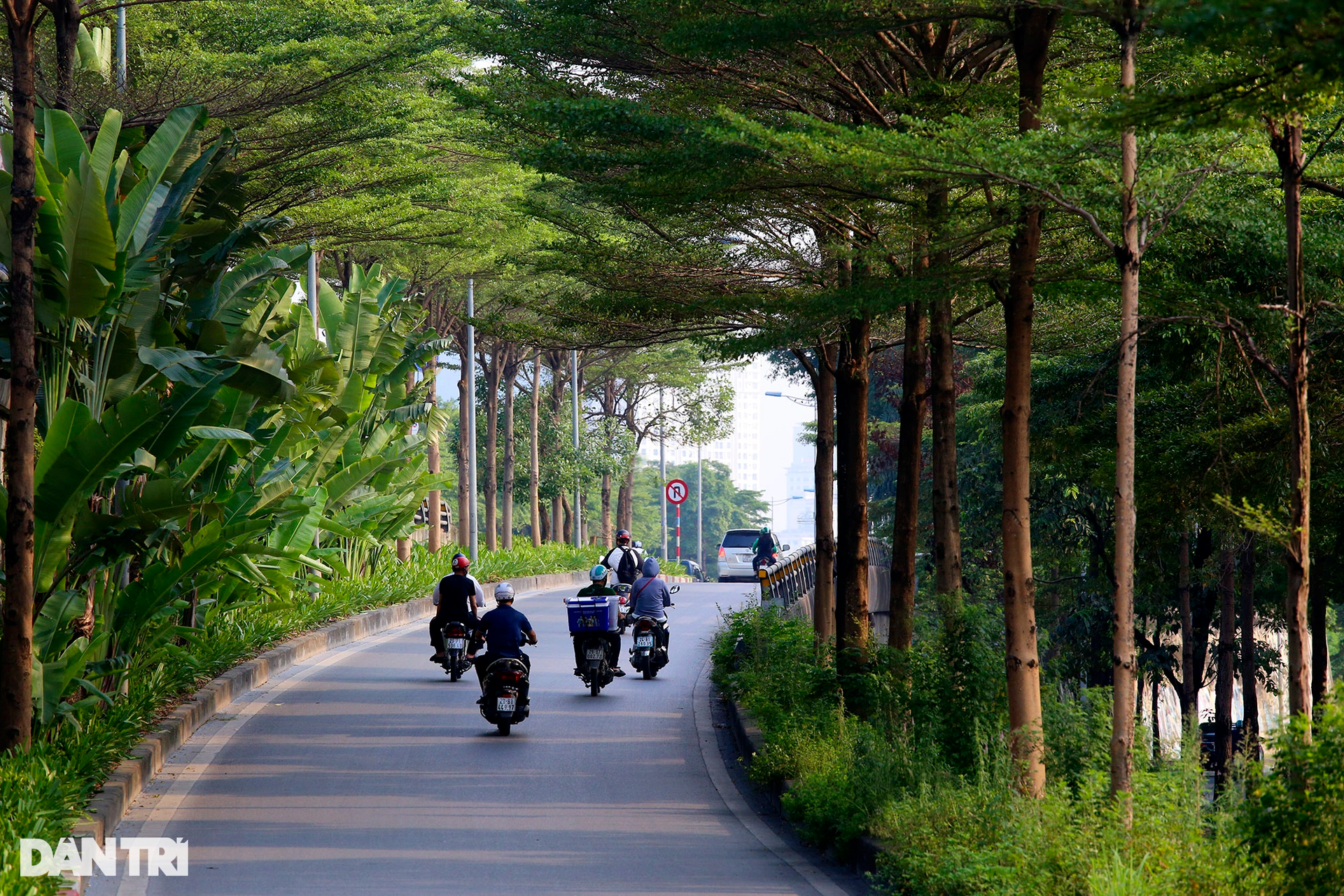 Vẻ đẹp đặc trưng của mùa thu Hà Nội - 14 Vẻ đẹp đặc trưng của mùa thu Hà Nội - 14