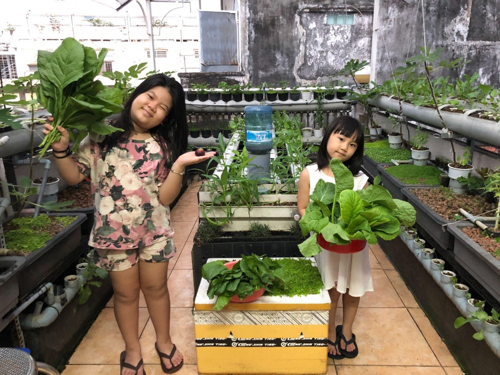 Người đàn ông trồng rau, nuôi cá trên nóc nhà tặng mẹ và con thơ - 12 Người đàn ông trồng rau, nuôi cá trên nóc nhà tặng mẹ và con thơ - 12