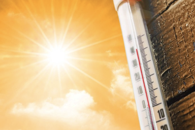 Hai trẻ tử vong chỉ trong một ngày vì bị bỏ quên trên ô tô