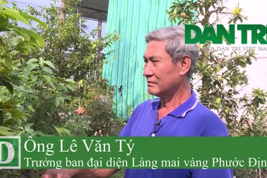 Nhà vườn...khóc mếu vì mai nở sớm