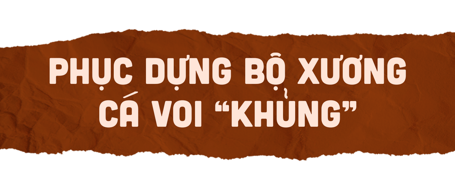 Bí ẩn bộ xương cá voi được lưu giữ cẩn mật suốt trăm năm tại Lý Sơn - 5 Bí ẩn bộ xương cá voi được lưu giữ cẩn mật suốt trăm năm tại Lý Sơn - 5
