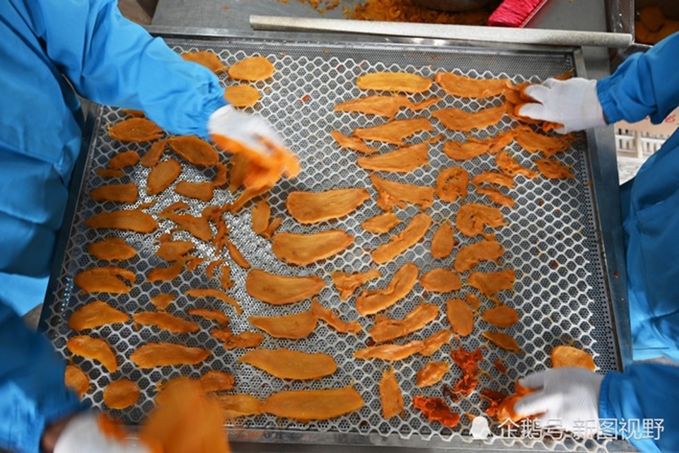 Ôm nợ để làm giàu, người đàn ông kiếm hơn 3 tỷ đồng mỗi năm nhờ thứ... đầy ngoài đồng - 4 Ôm nợ để làm giàu, người đàn ông kiếm hơn 3 tỷ đồng mỗi năm nhờ thứ... đầy ngoài đồng - 4