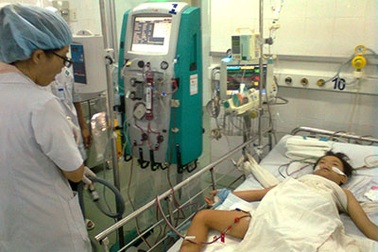 Bị ong chích 60 mũi, bệnh nhi suy đa cơ quan