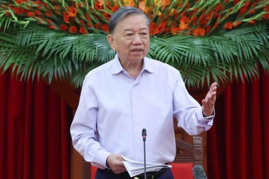 Tổng Bí thư, Chủ tịch nước: Phân tích thẳng thắn sai lầm, cơ hội bị bỏ lỡ