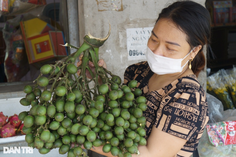 Bỏ túi hàng trăm triệu đồng từ vườn cau xứ Thanh Chương, Nghệ An - 2 Bỏ túi hàng trăm triệu đồng từ vườn cau xứ Thanh Chương, Nghệ An - 2