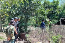 Hai người đàn ông được phát hiện tử vong tại chuồng vịt