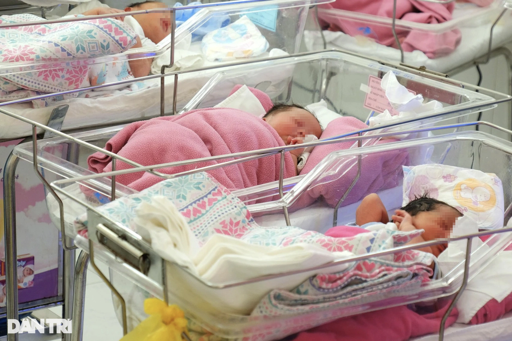Giám đốc Bệnh viện Từ Dũ nêu lý do phải can thiệp tim ngay trong bào thai - 1 Giám đốc Bệnh viện Từ Dũ nêu lý do phải can thiệp tim ngay trong bào thai - 1