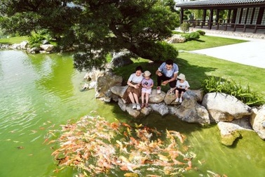 Nhu cầu thay đổi nơi an cư để đầu tư cho thế hệ tương lai