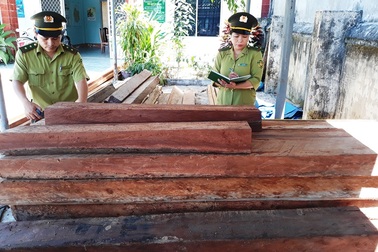 Dùng cưa máy phá sạch hơn 5.000 m2 rừng phòng hộ