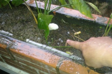 Mưa đá xuất hiện ở TPHCM