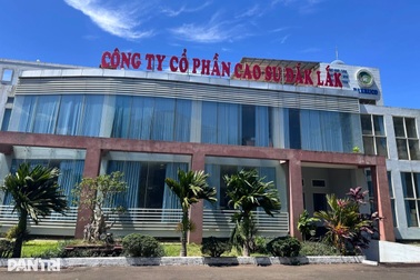 Truy nã con trai nguyên Chủ tịch Công ty Cao su Đắk Lắk