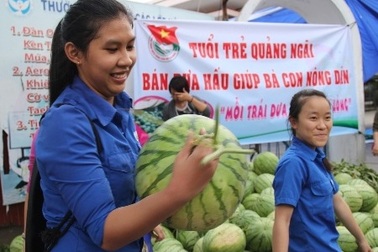 Tình người sưởi ấm người trồng dưa miền Trung