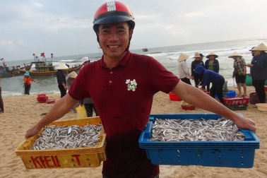 Ngư dân trúng đậm ngày mở biển, tàu về cá đầy khoang