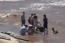 Cứu 5 người bị sóng biển cuốn trôi ở nhà thờ đổ Ninh Bình