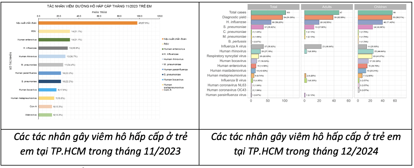 Virus gây viêm phổi HMPV gia tăng ở Trung Quốc có giống Covid-19? - 3