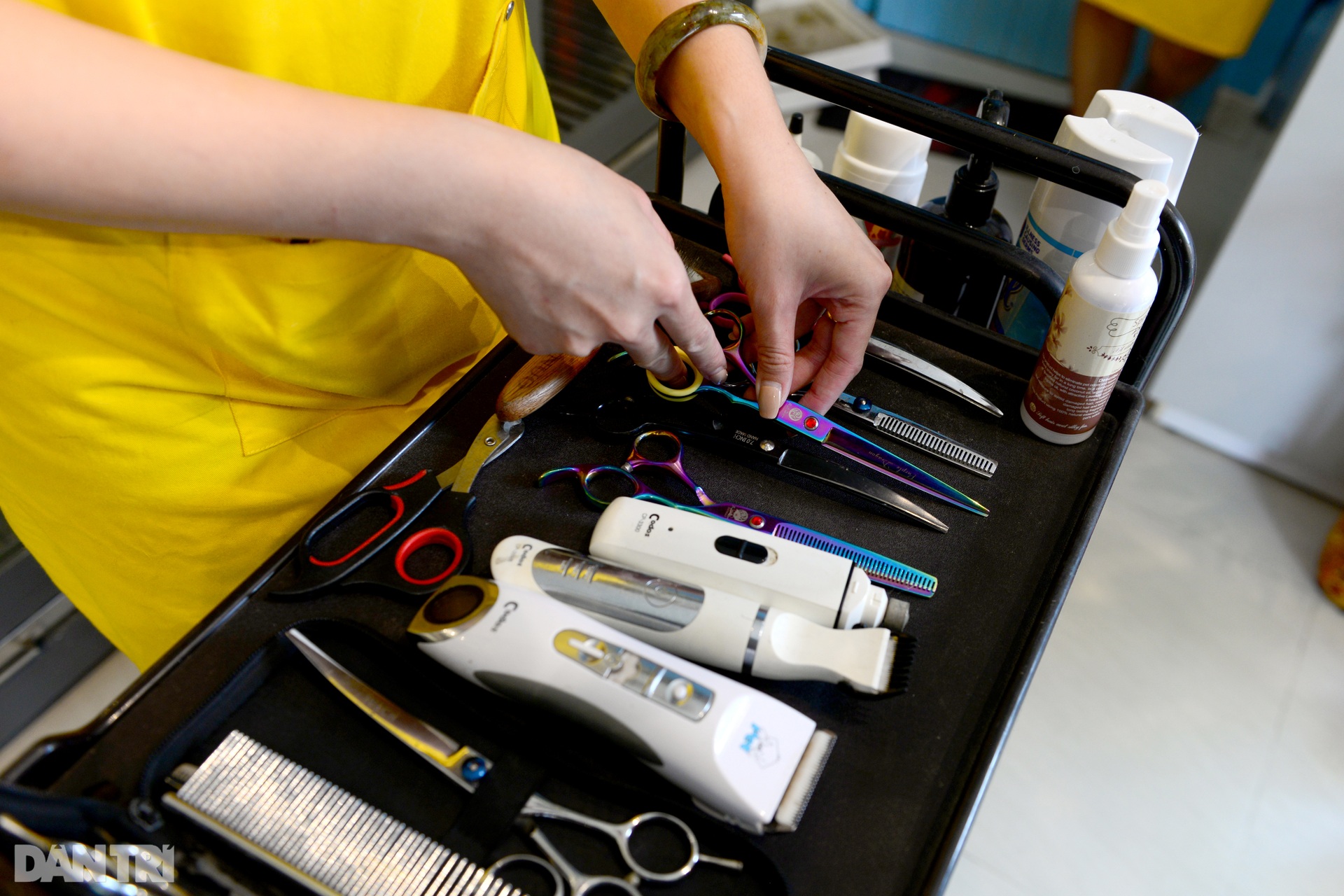 Đắt khách dịch vụ làm đẹp cho thú cưng tại nhà ở TPHCM mùa Covid-19 - 3 Đắt khách dịch vụ làm đẹp cho thú cưng tại nhà ở TPHCM mùa Covid-19 - 3