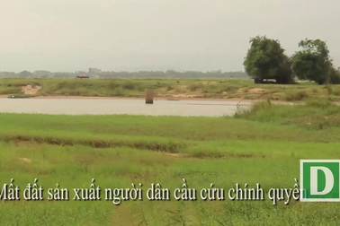 Phú Yên: Mất đất sản xuất, người dân cầu cứu chính quyền