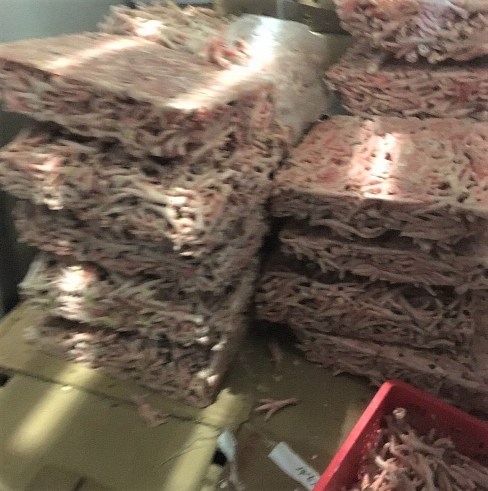 300kg chân gà không nguồn gốc nằm chờ tiêu thụ dịp Tết Nguyên đán - 3 300kg chân gà không nguồn gốc nằm chờ tiêu thụ dịp Tết Nguyên đán - 3