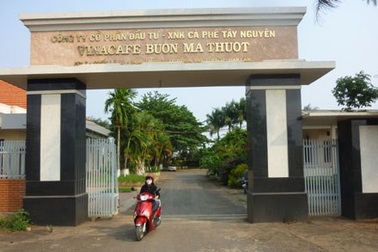 Vụ Vinacafe Buôn Ma Thuột bị kiện: Toà và viện KSND quan điểm ngược nhau