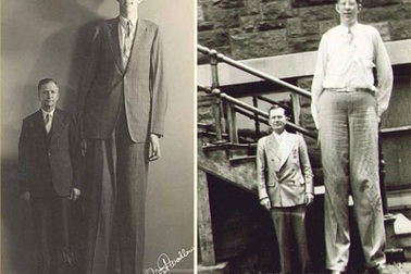 10 người đàn ông cao nhất thế giới