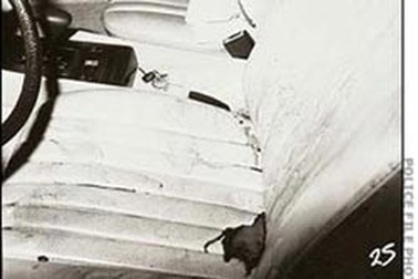 Một nữ doanh nhân trẻ bị sát hại dã man 