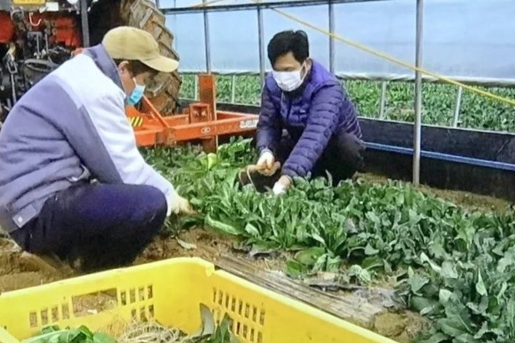 Mục tiêu đưa 5.700 lao động đi xuất khẩu, Cà Mau tính kỹ mức phí, mức lương - 1 Mục tiêu đưa 5.700 lao động đi xuất khẩu, Cà Mau tính kỹ mức phí, mức lương - 1