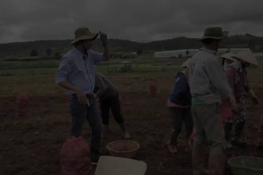 Hành trình khoai tây trên đất cao nguyên