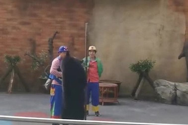 Gấu tấn công nghệ sĩ xiếc khi đang biểu diễn