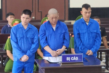 Dựng kịch bản chiếm đoạt gần 16 tấn sầu riêng, 3 bị cáo lĩnh 43 năm tù