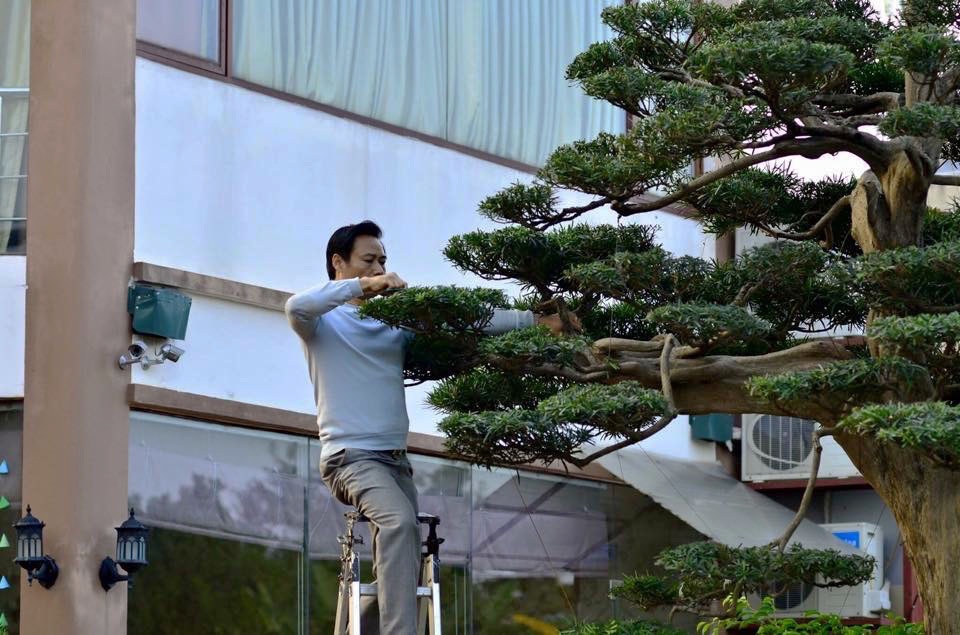 Tay chơi Hà Nội bán nhà trên phố để sở hữu cây tùng hơn 300 năm tuổi - 5 Tay chơi Hà Nội bán nhà trên phố để sở hữu cây tùng hơn 300 năm tuổi - 5